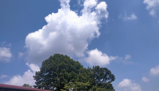 9月だよ～😊　投稿できなかった8月7日～31日までの振り返り💦