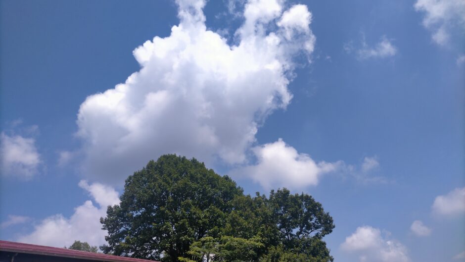 sky pictures